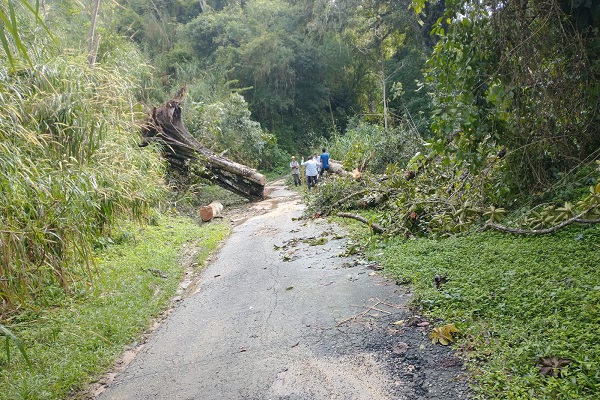Este es el estado actual de la vía hacia el sector de Donama, Río Piedras, distrito cafetero de Santa Marta.