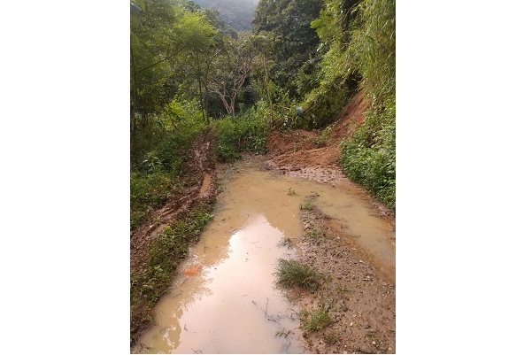 Las vías terciarias de la Sierra Nevada de Santa Marta están actualmente colapsadas, haciendo perder el 50% de la producción del café.