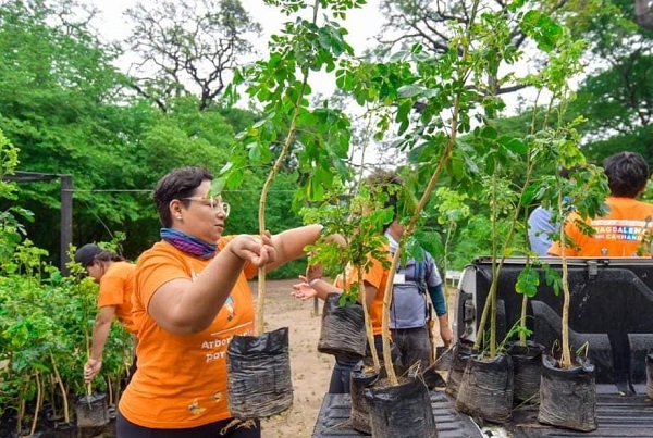 Un total de 43.200 plantas de diferentes especies nativas serán sembradas con el fin de reforestar 54 hectáreas.