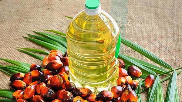 Se estima que el consumo de aceite de palma en Colombia creció 7,3% y alcanzó una cifra de 1,46 millones de toneladas en 2022.