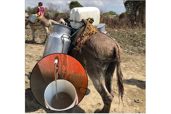 La comunidad pide la pronta intervención de las autoridades municipales, pues el agua que llega a sus viviendas no es apta para el consumo humano, lo que viene generando enfermedades.