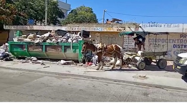 Así se veía la Carrera 8 entre calle 24 y 25, debido a la cantidad de residuos solidos que fueron dejados por personas inescrupulosas en el sector. 