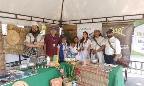 Los indígenas de la Sierra Nevada por medio de estos frijoles buscan combatir la problemática de desabastecimiento de alimentos en la sierra.