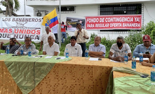La amenaza del narcotráfico para el sector bananero colombiano se reduce a términos de costo en un impacto que merma su productividad y venta.