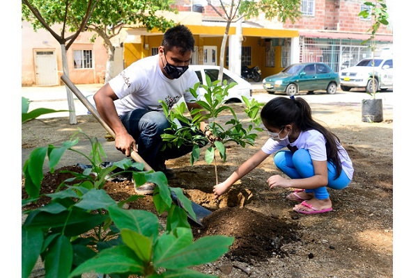 La autoridad ambiental ha venido desarrollando mesas técnicas con la participación de actores de la ciudad generando avances para el establecimiento.