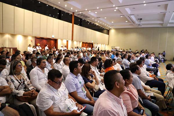 El Primer Congreso Bananero del Caribe Colombiano abordó temas como la problemática por el cambio climático y las enfermedades de estos productos agrícolas.