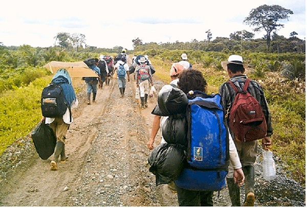 Desesperados se encuentran los campesinos de la Sierra Nevada de Santa Marta por el mal estado y caída de algunos puentes que comunican a la población en esta zona rural. 