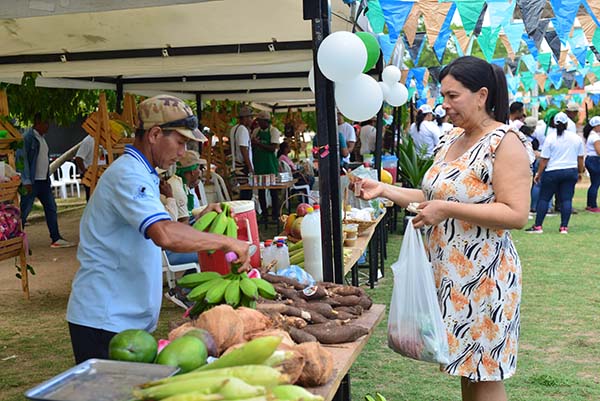 El proyecto E-commerce busca incrementar la comercialización de los productos hortofrutícolas sembrados por campesinos del Departamento.