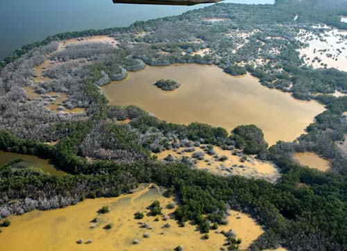 Este trabajo mancomunado será importante para el bienestar de la naturaleza y algunas especies en peligro.