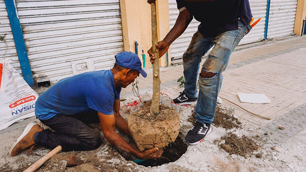El ingeniero forestal Ricardo López dijo que importante que la comunidad tenga consciencia y ayude a proteger los árboles que embellecerán la nueva Campo Serrano.
