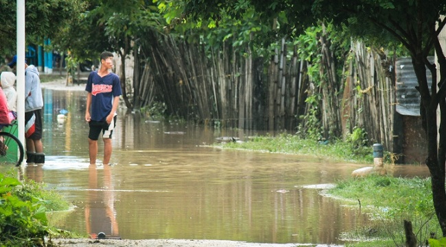 Foto: cortesía José Corro.