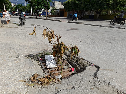 En la Avenida del Rio, se encuentra lo que podría llamarse un armadijo. Con palos y ramas la ciudadanía se las arregla para evitar que los conductores caigan en la trampa vial.