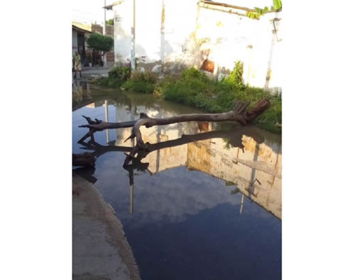 Aspecto de la fuga de una tubería en la localidad, en donde la comunidad clama por soluciones a las autoridades. Foto: Máximo Hernández. 