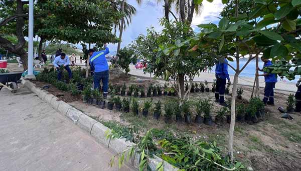 La comunidad espera con entusiasmo el resultado final de esta transformación que eleva la calidad de vida y la identidad visual de Santa Marta.