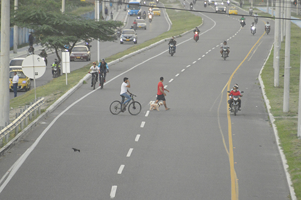 Un ciudadano arriesga su vida y la de su perro al atravesar la peligrosa y transitada Troncal del Caribe, a pocos metros de un puente peatonal cerca de Cootransmag. En la misma imagen también quedó captada la imprudencia de los ciclistas, que tienen la ciclobanda al lado y no la usan. 