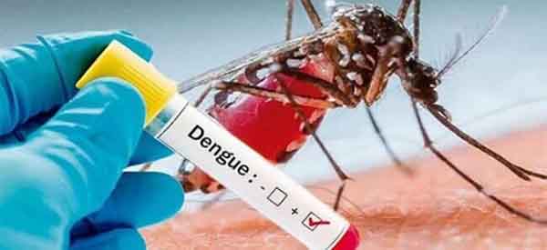 La comunidad se enfrenta a un desafío que requiere una respuesta coordinada para controlar y prevenir la propagación del dengue en la región.