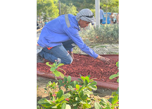 Estas acciones, coordinadas por la Empresa de Desarrollo y Renovación Urbano Sostenible de Santa Marta, buscan mejorar la funcionalidad y el atractivo visual de este espacio público.