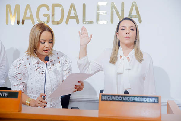 Los 13 diputados del Magdalena se disponen a iniciar  sus labores al encargarse de distribuir estas comisiones.