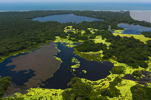 Parques Nacionales Naturales insta a las autoridades para fortalecer los mecanismos de protección de los Parques Nacionales y sus guardaparques.