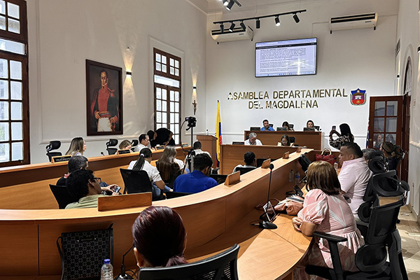 Los 13 diputados del Magdalena por reglamento debían pertenecer a una comisión, sin embargo a lo largo de la Sesión hubo múltiples aplazamientos por no concordar. 