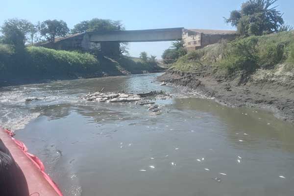 La situación presentada es en el caño Zapayàn, cercano a los corregimientos de Piedras Pintadas y Piedras de Moler