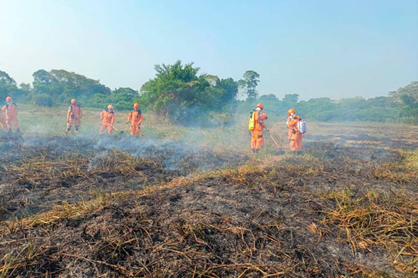 El decreto número 071, emitido por la alcaldía, establece un plan de acción para abordar eficientemente los incendios y recuperar las áreas afectadas.