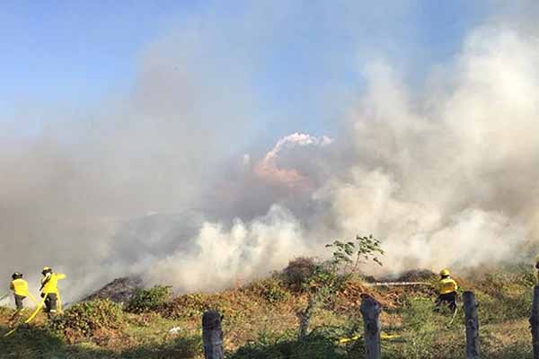 Las autoridades ambientales, locales y nacionales están profundamente preocupadas por la situación crítica que enfrenta el Parque Isla Salamanca debido a los constantes incendios.
