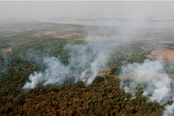 Aunque ‘El Niño’ se encuentra en su fase final y se anticipan fuertes lluvias, no se descarta la posibilidad de que en los próximos días se produzcan incendios en el departamento.