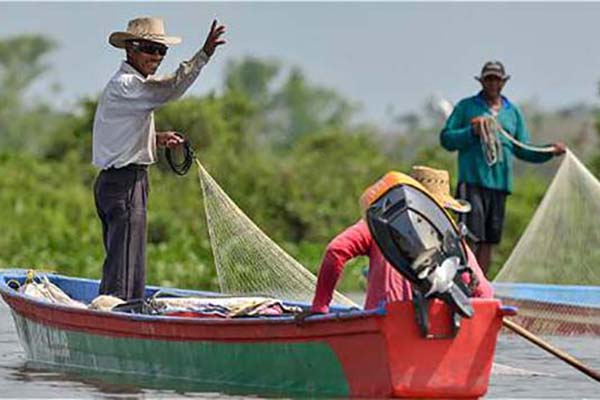 En el Magdalena, más de 11 mil pescadores junto con 89 acuicultores que han formalizado su actividad, han sido beneficiados por programas y proyectos implementados desde el año 2023.