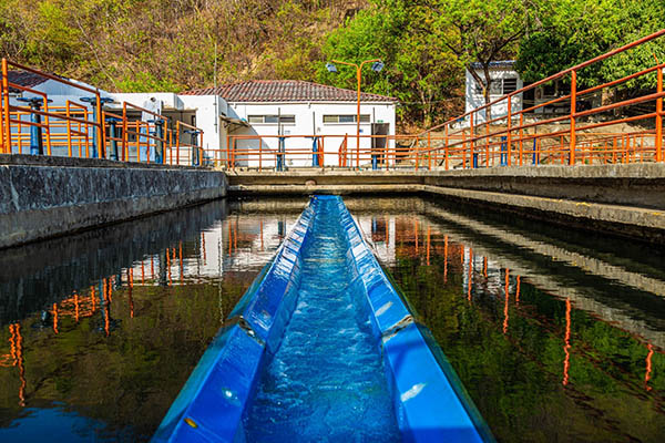  La planta de agua potable el Roble se encuentra ubicada en inmediaciones al barrio Gaira. 