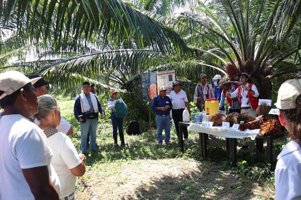 Los asistentes debatieron sobre prácticas que puedan optimizar la productividad y reducir el impacto ambiental.