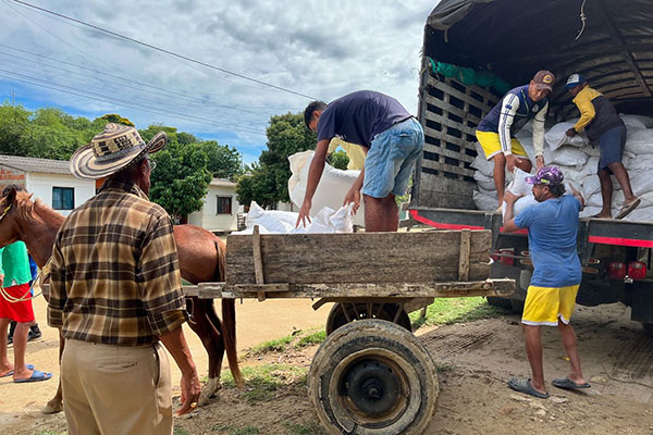Los pequeños productores agropecuarios de Concordia, Magdalena, recibieron un importante apoyo con la entrega de una tonelada de yuca seca en trozos por beneficiario.