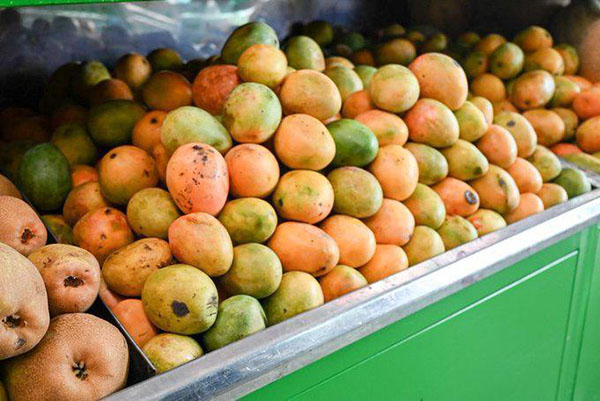 La Universidad del Magdalena recibirá a expertos, productores, empresarios y académicos del sector agrícola, con motivo del quinto Congreso de Mango Colombiano.