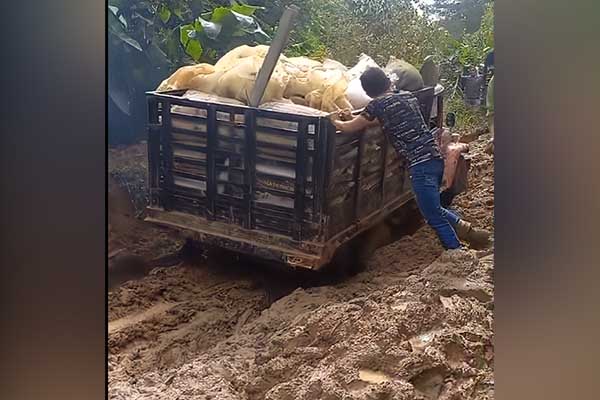 El mal estado de las vías dificulta el transporte del café hasta los centros de acopio y los mercados, lo que limita las opciones de comercialización y reduce los ingresos de los productores.