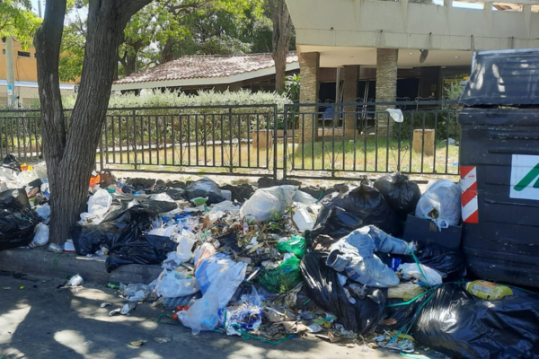 La gerente de Atesa aseguró que muchas personas les dan un mal uso a los contenedores acumulando cantidades de basura que causan contaminación. 