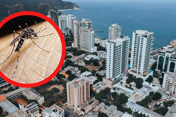 La secretaría de Salud Distrital, manifestó que Santa Marta se ha logrado mantener por debajo de los niveles epidemiológicos reportados en las ciudades principales. 
