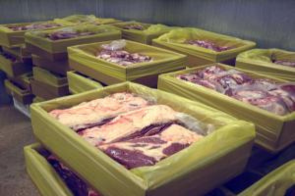 Las ventas internacionales de animales vivos y lácteos también fueron excepcionales durante el primer mes de 2025: USD 30 millones y 3,6 millones de dólares, respectivamente. China desbancó a Rusia como el principal mercado para la carne colombiana.
