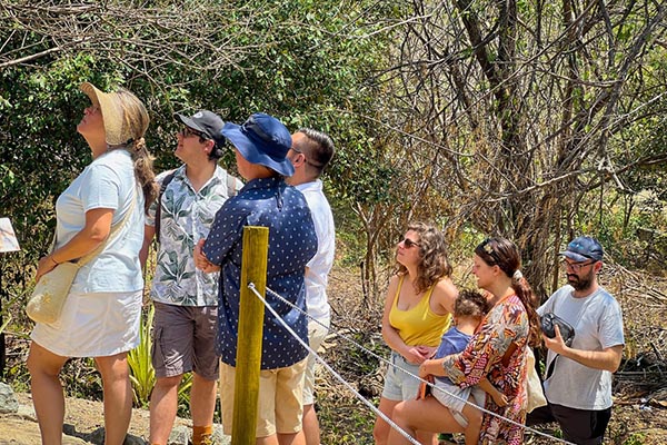 Durante este recorrido los invitados especiales conocerán las estaciones descubriendo más de 40 especies de árboles en este lugar en el que falleció el Libertador Simón Bolívar.