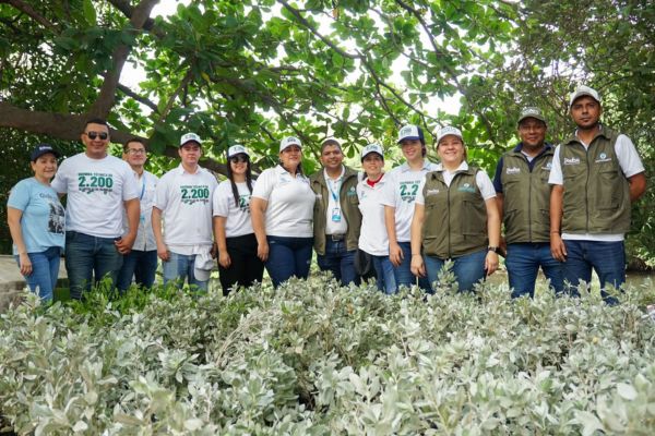 Con este tipo de iniciativas, Santa Marta avanza hacia un futuro más sostenible y comprometido con la conservación de su riqueza natural.