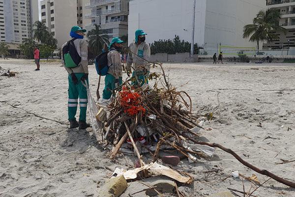   Trabajadores de Atesa, recogiendo la acumulación de residuos en la Playa de Los Cocos, tras las recientes lluvias en Santa Marta.