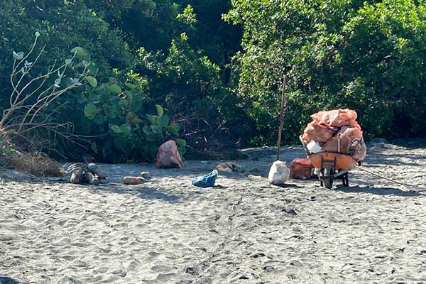 La caracterización de los manglares Playa Dormida Norte y Playa Dormida Sur debe ser divulgada a nivel nacional, como un ejemplo de concientización de la sociedad  samaria y de sus autoridades,  acerca de la importancia de recuperar y proteger hacia el futuro estos humedales costeros como viveros de peces y mariscos.