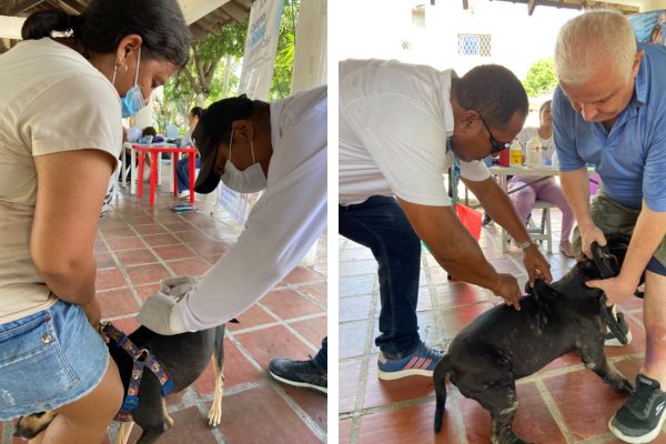 Las jornadas de vacunación atendieron a más de 700 animales en El Curval y Los Trupillos.Foto: Secretaría de salud 