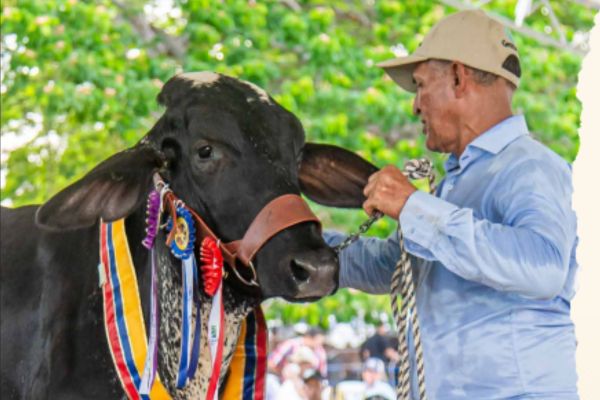 El evento reunirá a más de 300 productores, líderes gremiales, académicos e historiadores para honrar la tradición ganadera. Foto Fedegan