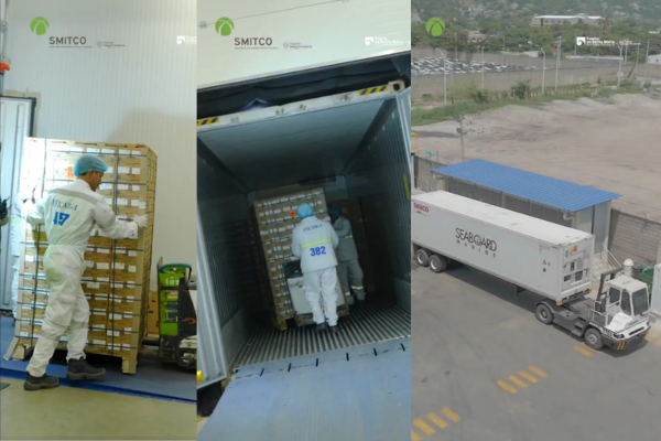 La reciente ampliación de la infraestructura del Puerto de Santa Marta, que ahora cuenta con cuatro nuevos cuartos fríos dobles, diseñados para operaciones de exportación de productos agrícolas de alta sensibilidad. Foto Sociedad Portuaria 