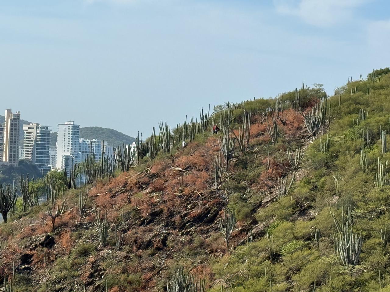 Foto cortesía 