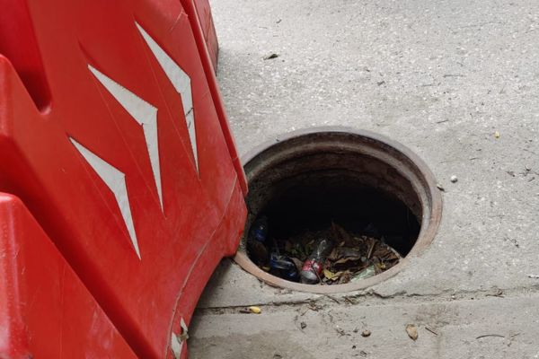 Foto cortesía a EL INFORMADOR 