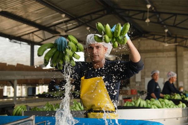 José Francisco Zúñiga, Presidente Ejecutivo de Asbama, quien será panelista en la Fruit Attraction que se llevará a cabo en Madrid, España. Foto Asbama 
