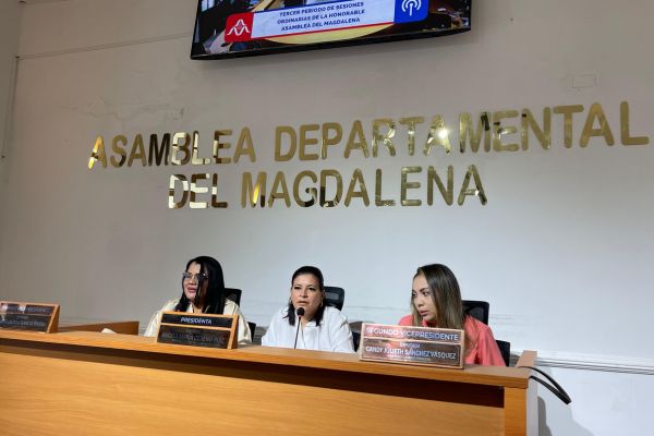 Mesa directiva de la Asamblea departamental del Magdalena en medio de la sesión ordinaria del día de ayer. Foto @Angelacedeno30 en X