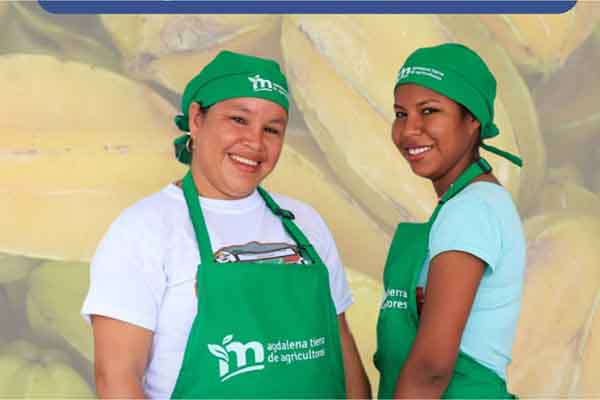 Esta feria es una iniciativa liderada por Confecámaras en alianza con la Cámara de Comercio de Santa Marta para el Magdalena. Foto CamComercio 