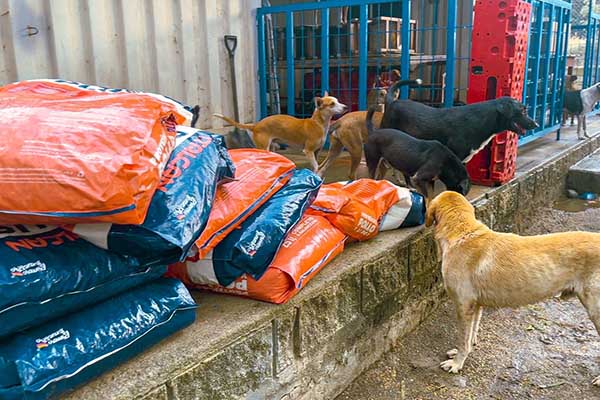 En esta jornada se entregaron 10 bultos de 25 kilos de alimento para perros, que se suman a una primera dotación de 9 bultos de 25 kg para perros y 9 de 15 kg para gatos. Foto Alcaldía 